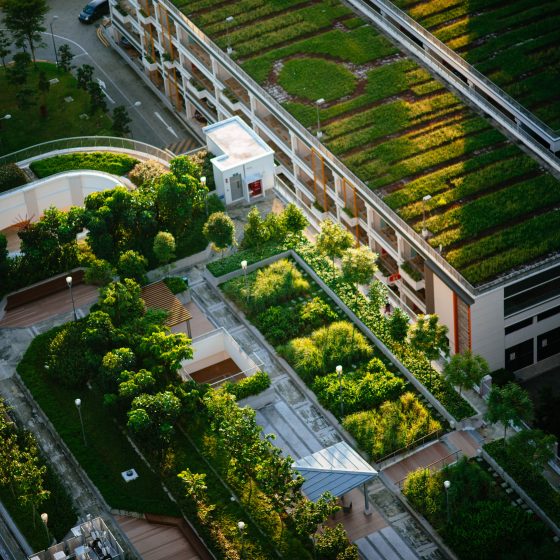 Des espaces verts et jardin en ville