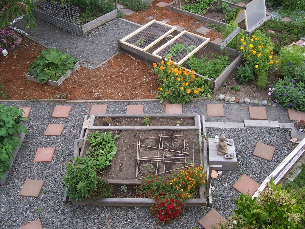 Un jardin avec des potages en carré