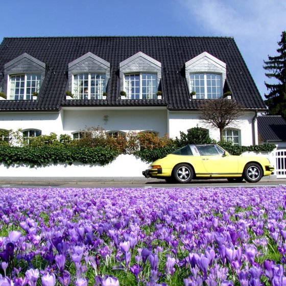 champ de fleurs violettes devant une grande maison